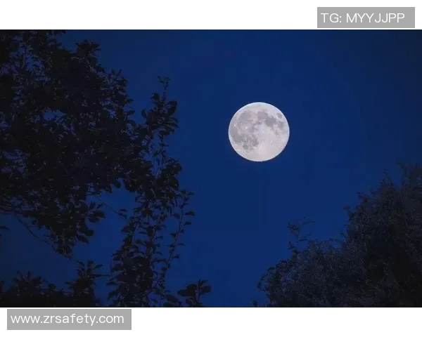 鹤辞之美:探讨TTG作品中的意象与情感表达 鹤辞之美:探讨TTG作品中的意象与情感表达