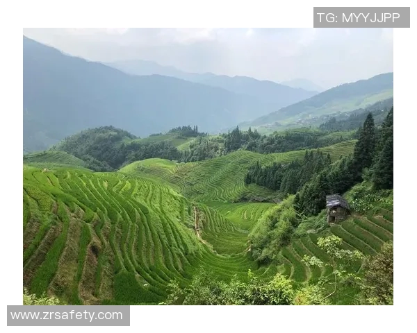 RNGM续约虔诚俱乐部展现电竞团队凝聚力与未来发展潜力