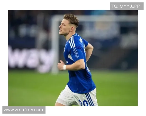 沙尔克04主场惨遭沃尔夫斯堡逆转,遭遇两连败击败 沙尔克04主场惨遭沃尔夫斯堡逆转,遭遇两连败击败